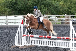 Class 7 - Fences 3' to 3'3